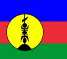 New Caledonia U17 logo