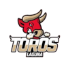 Toros de Torreon